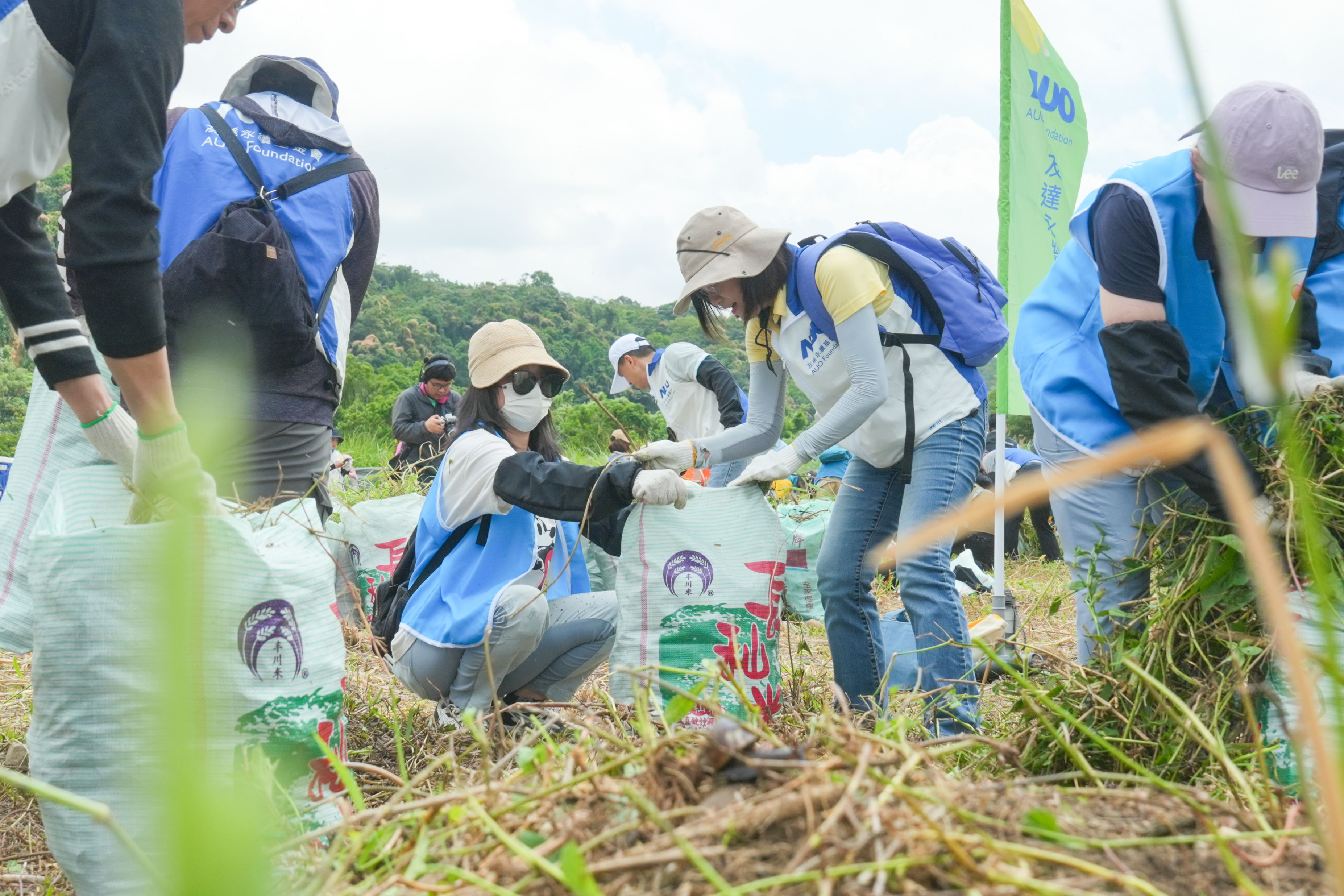鼎博除蔓防治計(jì)畫，除了鎖定霄裡溪沿岸3.2公里移除外來(lái)入侵種小花蔓澤蘭，並進(jìn)行物種與空拍調(diào)查，共記錄91科181屬239種維管束植物，顯示該區(qū)域具高度生態(tài)價(jià)值